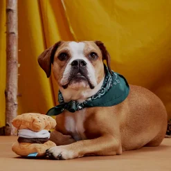 BARK Retail: More S'mores! Dog Toy 7 BARK Retail: More S'mores! Dog Toy -PetPals Group shop 5978919 ALT2