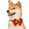 Blueberry Pet Christmas Holly Dog Collar -PetPals Group shop 5986155