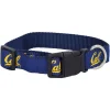 Cal Bears 1" Regular Dog Collar -PetPals Group shop 6029361