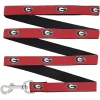 Georgia Bulldogs 4' Narrow Dog Leash -PetPals Group shop 6042792