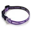WinCraft TCU Horned Frogs Medium Adjustable Pet Collar -PetPals Group shop 6087854