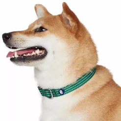Blueberry Pet Better Basics Reflective Dog Collar -PetPals Group shop 6117360 ALT4
