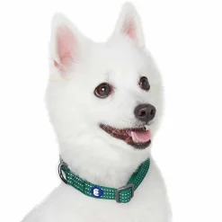 Blueberry Pet Better Basics Reflective Dog Collar