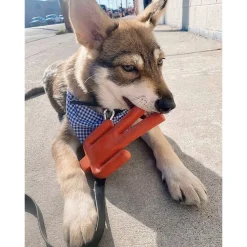 Come Here Buddy Stop Sign Dog Chew Toy -PetPals Group shop 6117393 ALT2