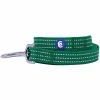 Blueberry Pet Better Basics Reflective Dog Leash