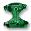 Come Here Buddy Everyday Green Dog Harness -PetPals Group shop 6130910