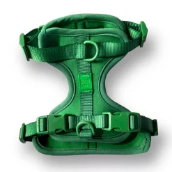 Come Here Buddy Everyday Green Dog Harness