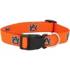 Auburn Tigers 1" Regular Dog Collar -PetPals Group shop 6135841