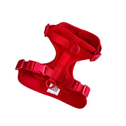 Come Here Buddy Everyday Red Dog Harness