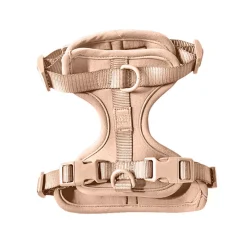 Come Here Buddy Everyday Sand Dog Harness