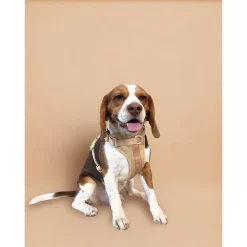 Come Here Buddy Everyday Sand Dog Harness -PetPals Group shop 6137028 ALT2