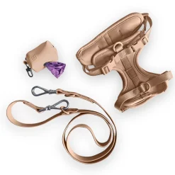 Come Here Buddy Everyday Sand Dog Harness Set