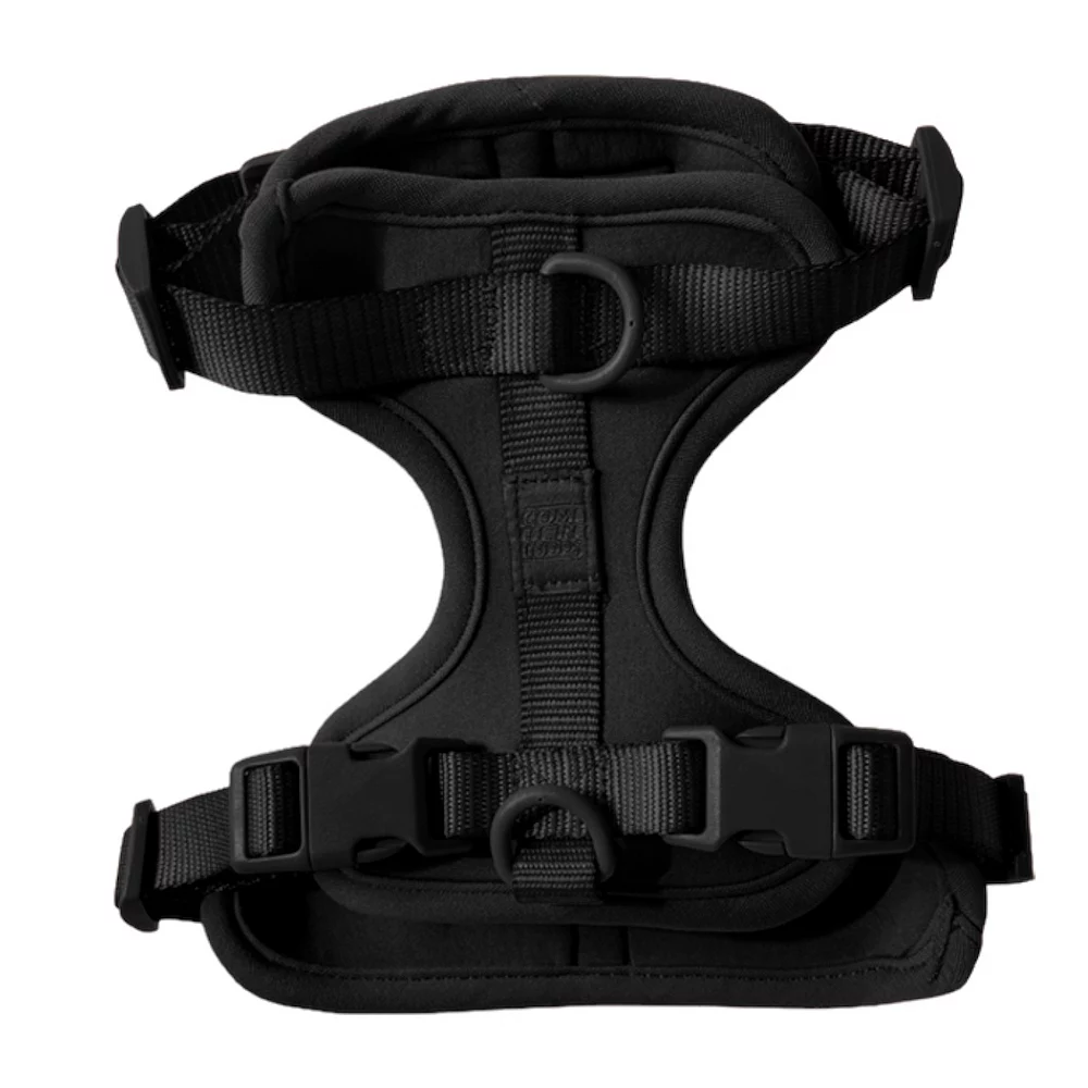 Come Here Buddy Everyday Black Dog Harness 3 Come Here Buddy Everyday Black Dog Harness
