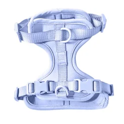 Come Here Buddy Everyday Sky Blue Dog Harness
