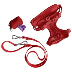 Come Here Buddy Everyday Red Dog Harness Set