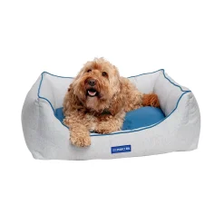 JoJo Modern Pets Bondi Eco-Fabric Bolster Dog Bed -PetPals Group shop 6140931 ALT2