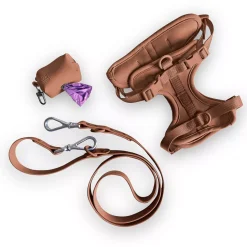 Come Here Buddy Everyday Brown Dog Harness Set