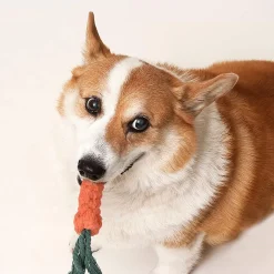 Popfun 7 Pcs Cute Chew Toy Set For Pets -PetPals Group shop 6141993 ALT