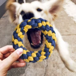 Popfun 7 Pcs Cute Chew Toy Set For Pets -PetPals Group shop 6141993 ALT3