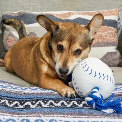 Juvale Zodaca Dog Toys Bundle, Baseball Plush With Rope And Crinkle (2-Pack) -PetPals Group shop 6147328 ALT3