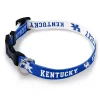 WinCraft Kentucky Wildcats Medium Adjustable Pet Collar -PetPals Group shop 6155872
