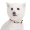 Blueberry Pet Spring Floral Ivory Dog Collar -PetPals Group shop 6173285