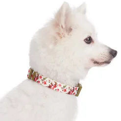 Blueberry Pet Spring Floral Ivory Dog Collar -PetPals Group shop 6173285 ALT2