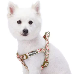 Blueberry Pet Spring Floral Ivory Dog Harness