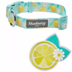Blueberry Pet Zesty Fruit Dog Collar -PetPals Group shop 6173317 ALT3