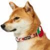 Blueberry Pet Zesty Fruit Dog Collar 2 Blueberry Pet Zesty Fruit Dog Collar -PetPals Group shop 6173317 Harvesting Strawberry