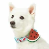 Blueberry Pet Zesty Fruit Dog Collar -PetPals Group shop 6173325