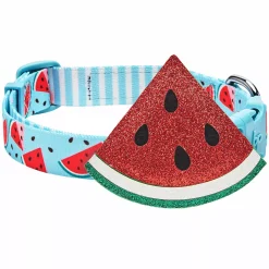 Blueberry Pet Zesty Fruit Dog Collar -PetPals Group shop 6173325 ALT