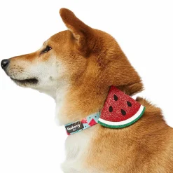 Blueberry Pet Zesty Fruit Dog Collar -PetPals Group shop 6173325 ALT2