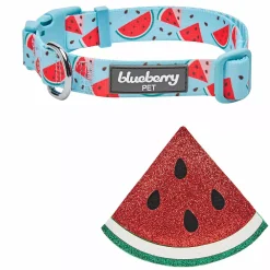 Blueberry Pet Zesty Fruit Dog Collar -PetPals Group shop 6173325 ALT3