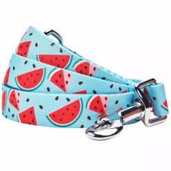 Blueberry Pet Zesty Fruit Dog Leash 6 Blueberry Pet Zesty Fruit Dog Leash -PetPals Group shop 6173327 ALT
