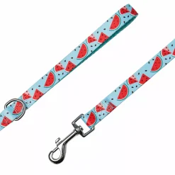 Blueberry Pet Zesty Fruit Dog Leash 7 Blueberry Pet Zesty Fruit Dog Leash -PetPals Group shop 6173327 ALT2