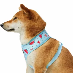 Blueberry Pet Zesty Fruit Dog Harness Vest -PetPals Group shop 6173372 ALT2