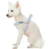 Blueberry Pet Dog Velvety Polka Dot Flocking Harness