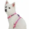 Blueberry Pet Dog Velvety Heart Flocked Harness With Removable Bow -PetPals Group shop 6174091