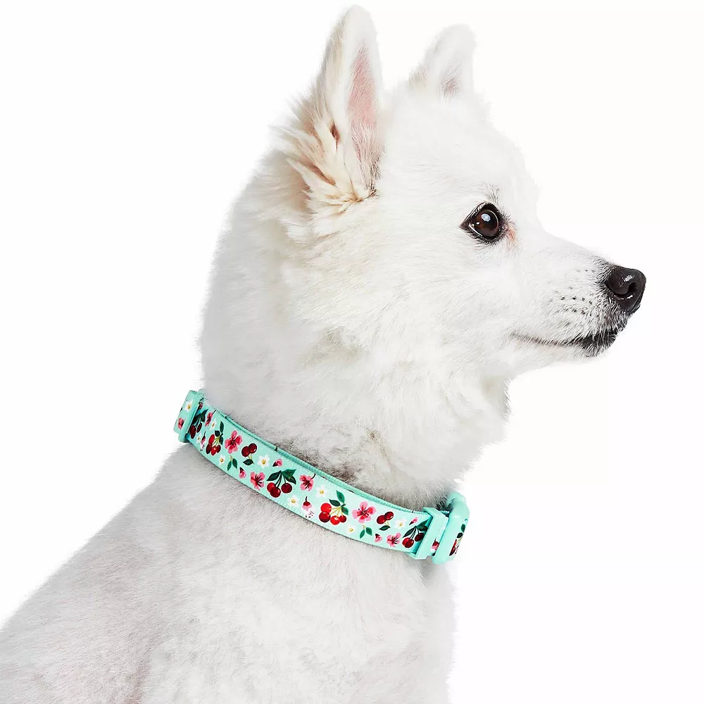Blueberry Pet Dog Cherry Garden Floral Collar 4 Blueberry Pet Dog Cherry Garden Floral Collar - Image 2
