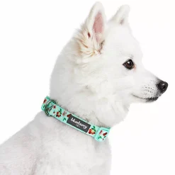 Blueberry Pet Dog Cherry Garden Floral Collar