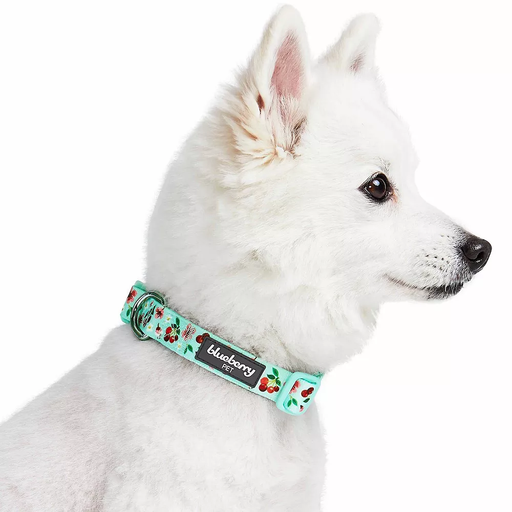 Blueberry Pet Dog Cherry Garden Floral Collar 3 Blueberry Pet Dog Cherry Garden Floral Collar