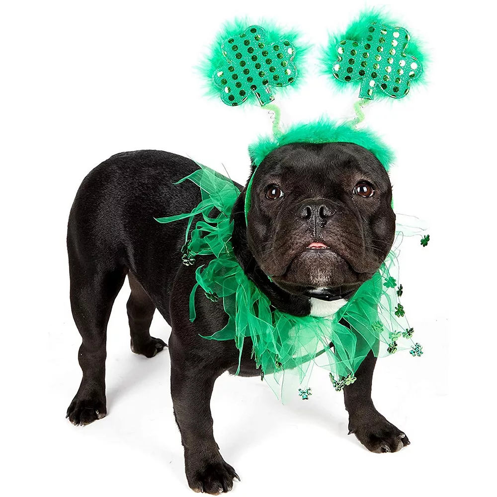 Zodaca St. Patrick's Dog Clothes, Shamrock Headband And Tutu, Med To Large Pets (2 Pieces) 5 Zodaca St. Patrick's Dog Clothes, Shamrock Headband And Tutu, Med To Large Pets (2 Pieces) - Image 3