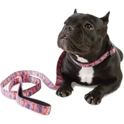 Zodaca American Flag Collar And Leash For Medium And Large Dogs (2 Piece Set) -PetPals Group shop 6184652 ALT2
