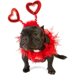 Zodaca Valentines Dog Clothes, Heart Headband And Collar For Med To Large Dogs (2 Pieces) -PetPals Group shop 6184660 ALT2