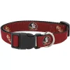 Florida State Seminoles 1" Regular Dog Collar -PetPals Group shop 6219493