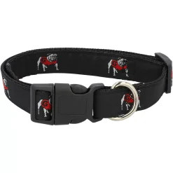 Georgia Bulldogs Team 1" Regular Dog Collar