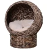 PawHut 23.5" Water Hyacinth Elevated Cat Kitten Bed Ball Condo Pod Pet House Tree -PetPals Group shop 6259428