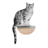 MYZOO Modern Round Lack Clear Wall Mounted Cat Shelves With Transparent Board - 1 Piece -PetPals Group shop 6288786