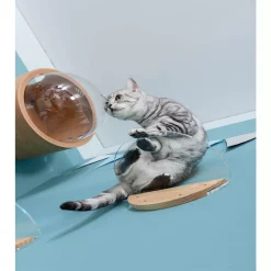 MYZOO Modern Round Lack Clear Wall Mounted Cat Shelves With Transparent Board - 1 Piece -PetPals Group shop 6288786 ALT